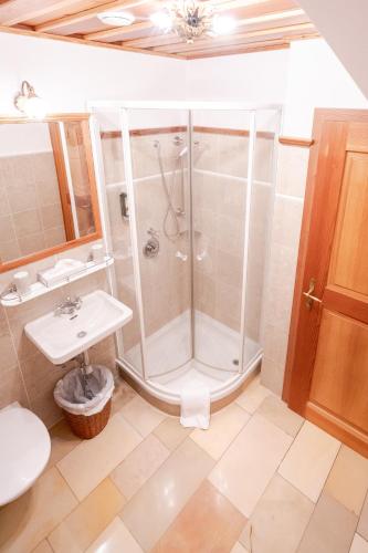 a bathroom with a shower and a sink at Hotel Römerstein in Loipersdorf bei Fürstenfeld