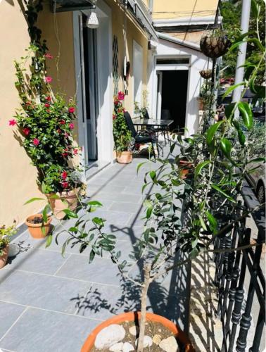 Cosy apartment near a river Rijeka