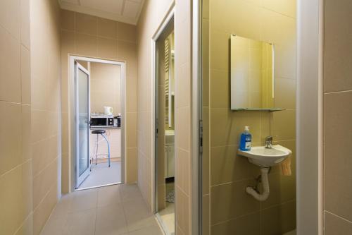 a small bathroom with a sink and a mirror at Apartment Vukanja in Belgrade