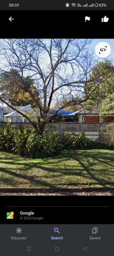 a picture of a tree in a yard with a frisbee at Garden Corner Guesthouse in Vereeniging