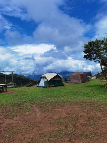two tents in a field under a cloudy sky at Panakluea at Kokuang Homestay in Ban Na Lae