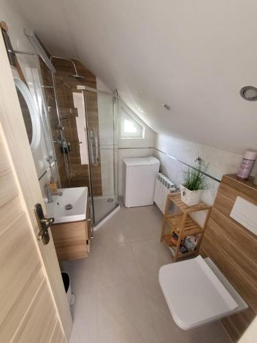 a bathroom with a toilet and a shower and a sink at Domek pod Hyrką Bieszczady-Lesko in Lesko