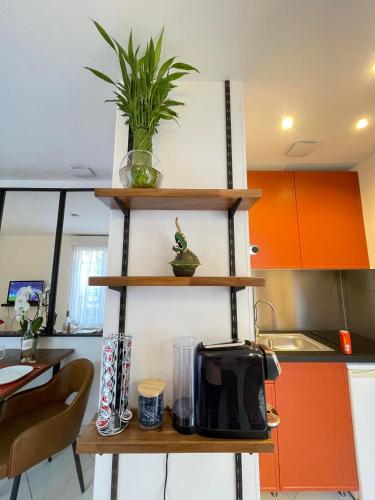 une cuisine avec une étagère et une plante. dans l'établissement Villa Zen, à Sartrouville