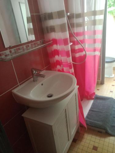 une salle de bain avec un lavabo et une douche dans l'établissement La plaisance tilleul, à Notre-Dame-de-Monts