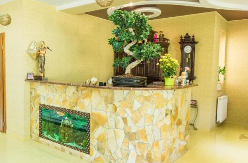 a fireplace in a room with a clock and plants at Villa Fenix in Berehove
