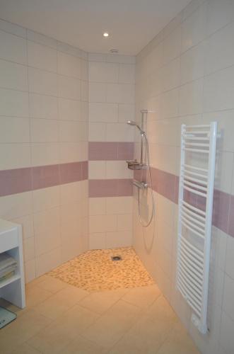 une salle de bain avec une douche avec pommeau de douche dans l'établissement Villa Mare e Machja, à Zonza