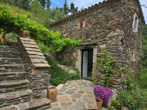 Fotografie z fotogalerie ubytování Mas cevennes v destinaci Concoules