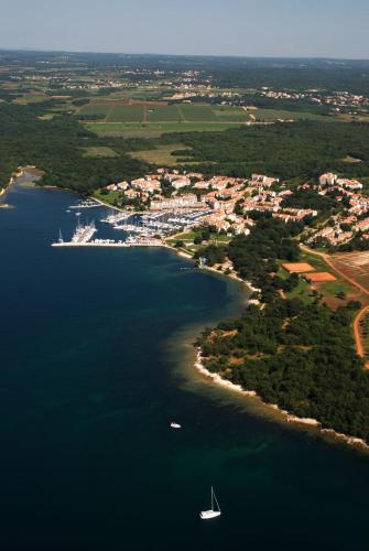 Studio apartment in Porec with balcony, air conditioning, WiFi 819-7