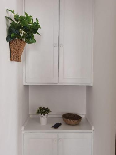 a kitchen with white cabinets and plants on a counter at Atardecer in La Santa