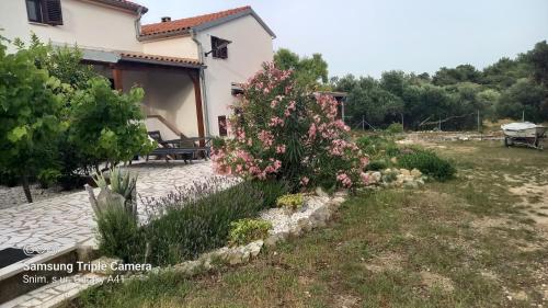 Κήπος έξω από το Eco Secluded apartments Zabodarski