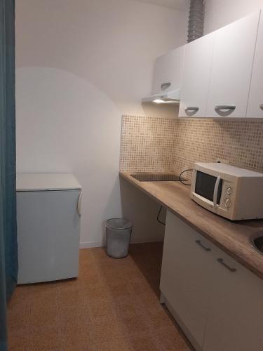 une cuisine avec un comptoir avec un micro-ondes dessus dans l'établissement Studio Urbain Cosy-Touche Rétro 2, à Perpignan