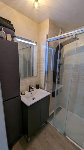 une salle de bain avec un lavabo et une douche dans l'établissement Apt Rez de jardin piscine dans résidence, à Fréjus