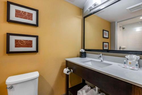 a bathroom with a sink and a mirror at Comfort Suites Fort Lauderdale Airport South & Cruise Port in Dania Beach