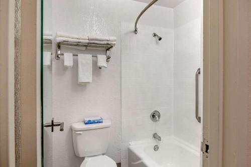 een witte badkamer met toilet en douche bij Quality Inn & Suites Ruther Glen in Ruther Glen