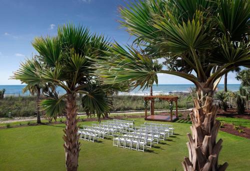 a row of white chairs in a field with palm trees at The Ellie Beach Resort Myrtle Beach, Tapestry By Hilton in Myrtle Beach