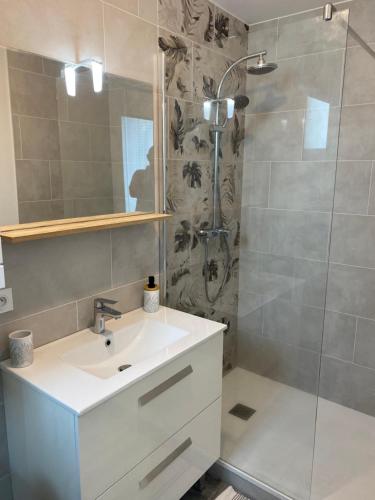 Koupelna v ubytování Appartement 2 chambres avec jardin privatif