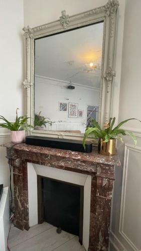 un miroir au-dessus d'une cheminée avec deux plantes en pot dessus dans l'établissement Maison Chic familiale avec Jardin, à Gennevilliers