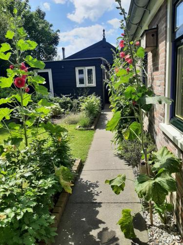 a garden path leading to a house with flowers at B&B De Verre Kijker in Barsingerhorn