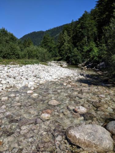 a river with rocks and trees on a mountain at Ferienwohnungen Taverne in Langau