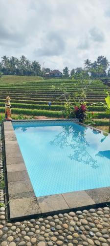 a swimming pool in front of a rice field at Balitrees in Selemadeg
