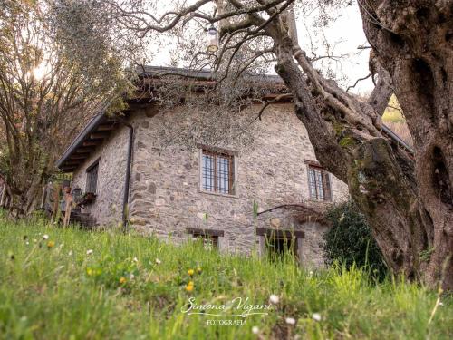 Zahrada ubytování Cascina Capéle