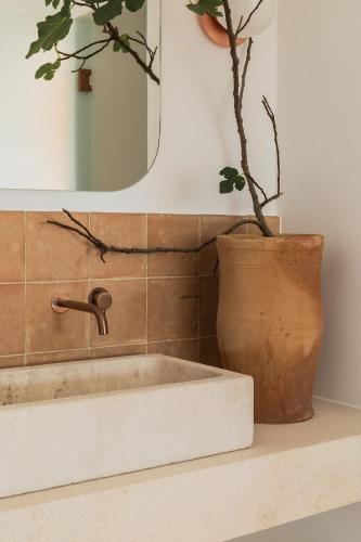 a bathroom sink with a potted plant and a mirror at Hotel Sant Ignasi in Ciutadella