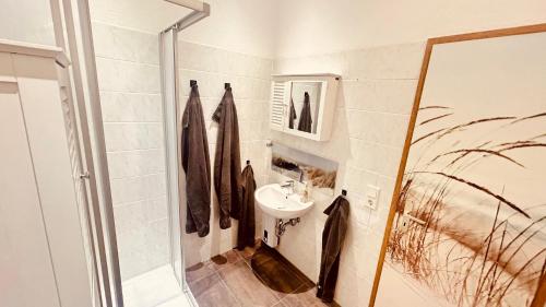 a bathroom with a sink and a shower at Richter Apartments Finsterwalde 4 in Finsterwalde