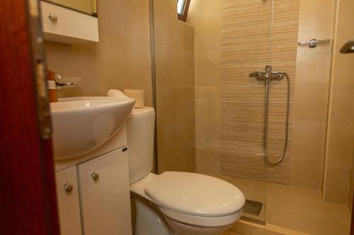 a bathroom with a toilet and a sink and a shower at Apartments Milla in Ulcinj