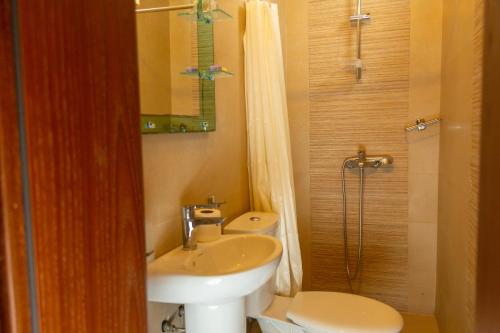 a bathroom with a sink and a toilet and a shower at Apartments Milla in Ulcinj