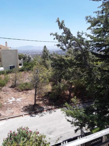 a view of a yard with trees and a house at Ferienwohnung zwischen City Athen Strand und Flughafen in den Bergen in Drafí