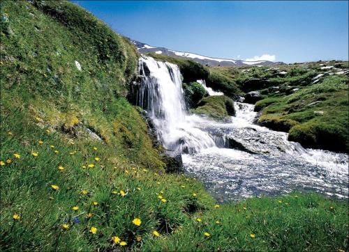 una cascada al lado de una colina con flores en TODOSIERRANEVADA ZONA BAJA - MONTBLANC VISTAS A LA MONTANA - Junto a los Telecabinas, en Sierra Nevada