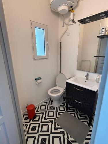 une salle de bain avec un lavabo, des toilettes et un miroir dans l'établissement Un Havre de Paix à Poitiers, à Poitiers