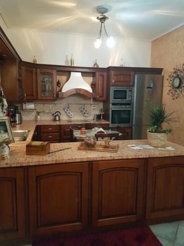 a kitchen with wooden cabinets and a large island at HoneyHouse in Kádhion