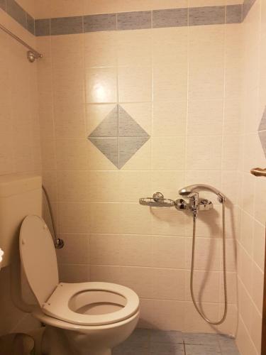 a bathroom with a toilet and a shower at HoneyHouse in Kádhion