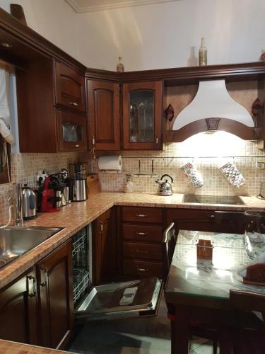 a kitchen with wooden cabinets and a sink at HoneyHouse in Kádhion