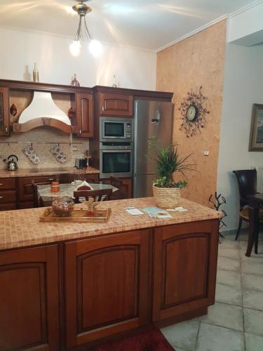 a kitchen with wooden cabinets and a counter top at HoneyHouse in Kádhion