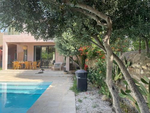 une maison avec une piscine et un arbre dans l'établissement Chai et cuve à vin de 1907 en villa, à Ille-sur-Têt