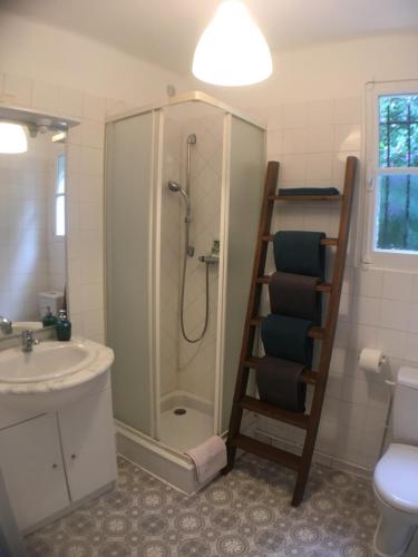 une salle de bain avec une douche, des toilettes et un lavabo dans l'établissement Au fil du Chassezac #Miel, à Chambonas