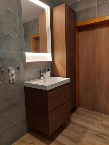 a bathroom with a sink and a mirror at Ferienwohnung Leonhardbauer in Kleinfeistritz
