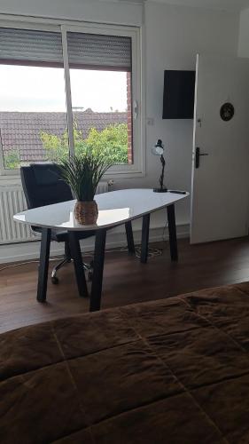 une table avec une plante en pot dans une pièce dans l'établissement La Fermette à Achicourt - Chambre ZEN, lit double avec grand bureau donnant sur cour au carré, à Achicourt