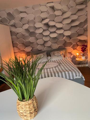 une plante dans un vase assis sur une table dans l'établissement La Fermette à Achicourt - Chambre ZEN, lit double avec grand bureau donnant sur cour au carré, à Achicourt