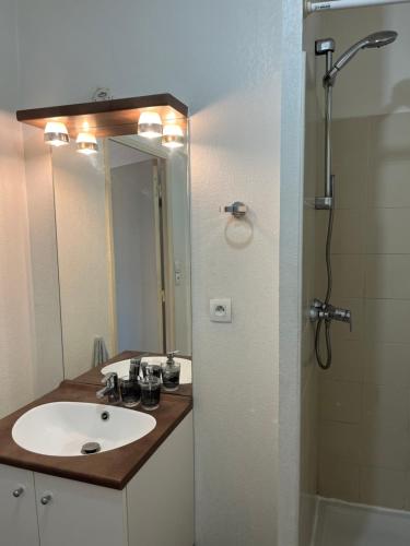 une salle de bain avec un lavabo et une douche avec un miroir dans l'établissement Studio centre ville, à Marseille