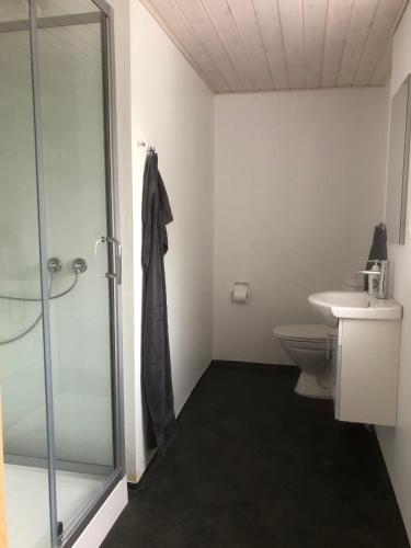 a bathroom with a shower and a toilet and a sink at Købmandsgården 4 in Sæby