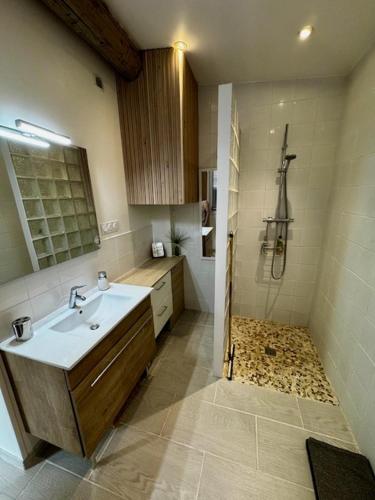 une salle de bain avec un lavabo et une douche dans l'établissement La Mazzerinière, à Saint-Sylvestre
