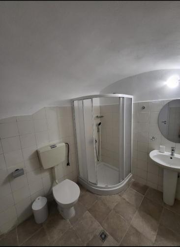 a bathroom with a shower and a toilet and a sink at Cave Houses Mesaria in Mesaria
