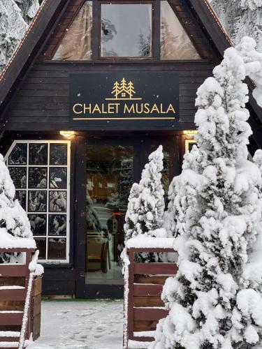 a store with a snow covered tree in front of it at Chalet Musala Borovets by BookVillaBG in Borovets