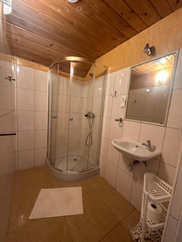 a bathroom with a shower and a sink at FALEZA Dębina in Debina