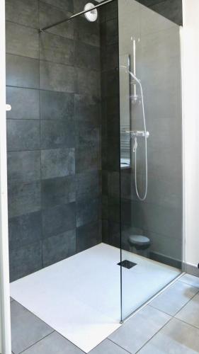 une salle de bain avec une douche en verre et des toilettes dans l'établissement ACARimmo, à Vieux-Boucau-les-Bains