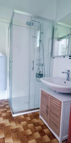 une salle de bain avec une douche en verre et un lavabo dans l'établissement Arreau appartement 70m2 pour 2 personnes, à Arreau