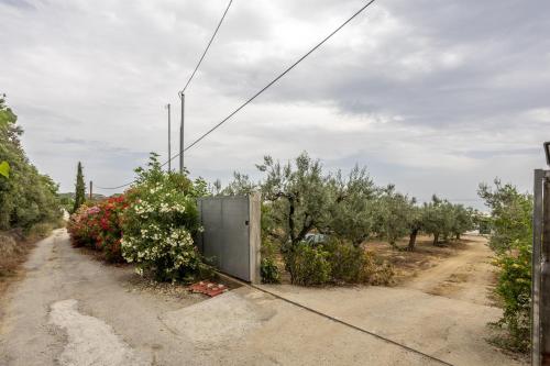 an open door on a dirt road with trees and flowers at Azzure Heaven in Loutrá Elevtherón